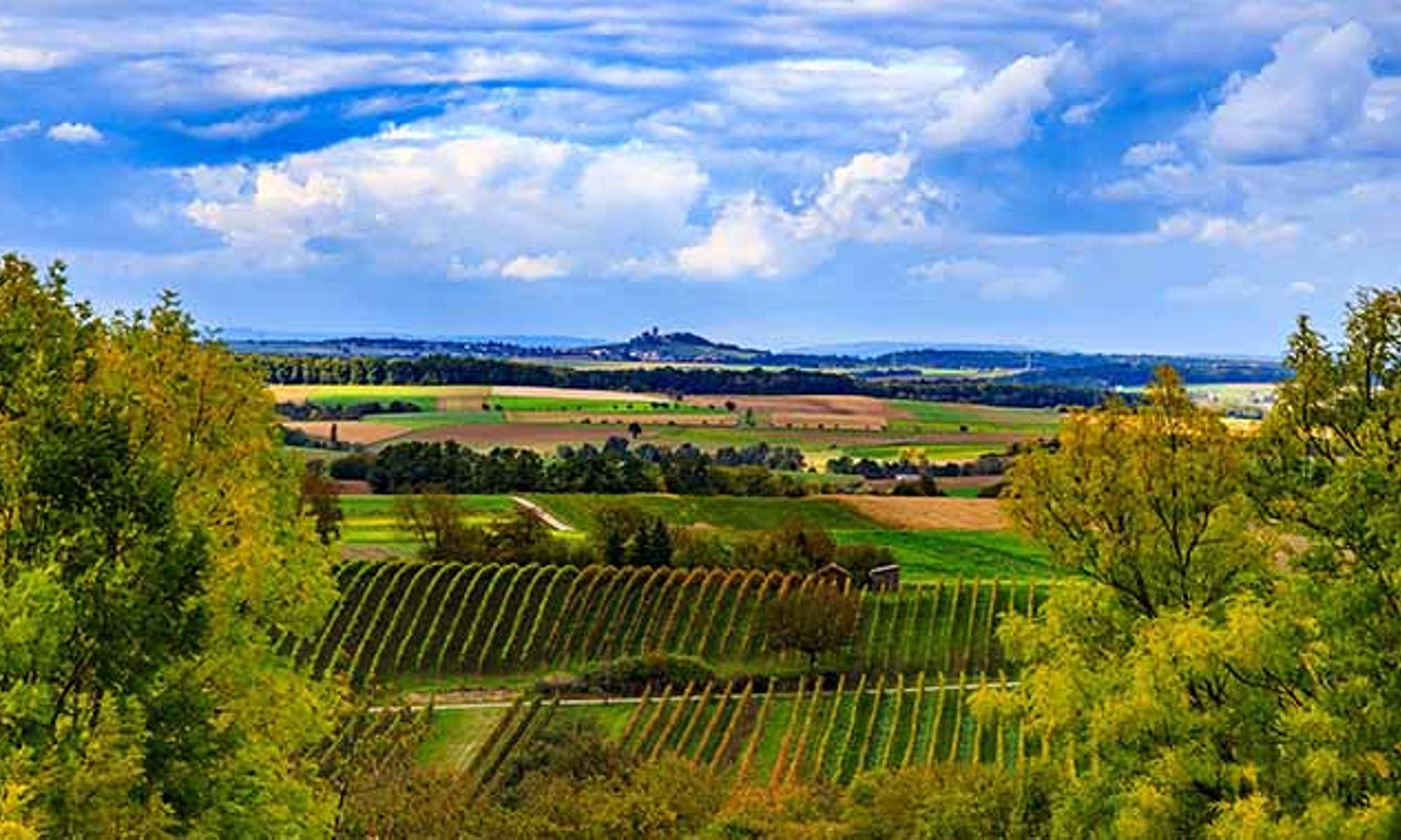 Die Landschaft des neuen Bezirks Bretten/Bruchsal ist geprägt von Obst- und Weinbau.
